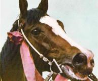 Скачки  России - СССР