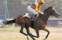 2007 год