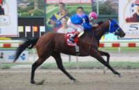 2008 год