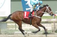 2009 год