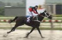 2010 год