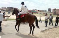 2010 год