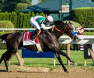 Скачки Мира