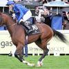 2017 год